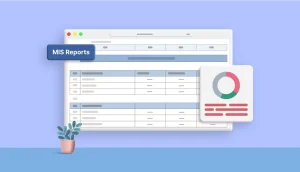 What Are MIS Reports | Reporting Tools